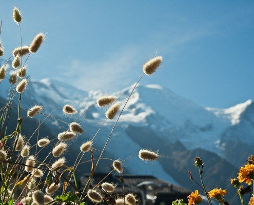 Laurent Jammes Photographe Paysage Toulouse Mont Blanc Alpes Chamonix