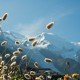 Laurent Jammes Photographe Paysage Toulouse Mont Blanc Alpes Chamonix