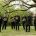 Ensemble de Cuivres - Octuor de Cor - Orion - Photo Laurent Jammes